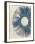 Blue Burst I-Melissa Wang-Framed Art Print