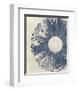 Blue Burst I-Melissa Wang-Framed Art Print