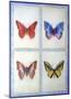 Blue Butterflies-Lewman Zaid-Mounted Art Print