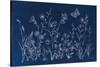 Blue Butterfly Garden-Danhui Nai-Stretched Canvas