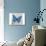 Blue Butterfly I-Alan Hopfensperger-Art Print displayed on a wall