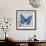 Blue Butterfly I-Alan Hopfensperger-Framed Art Print displayed on a wall