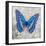 Blue Butterfly I-Alan Hopfensperger-Framed Art Print