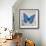 Blue Butterfly I-Alan Hopfensperger-Framed Art Print displayed on a wall