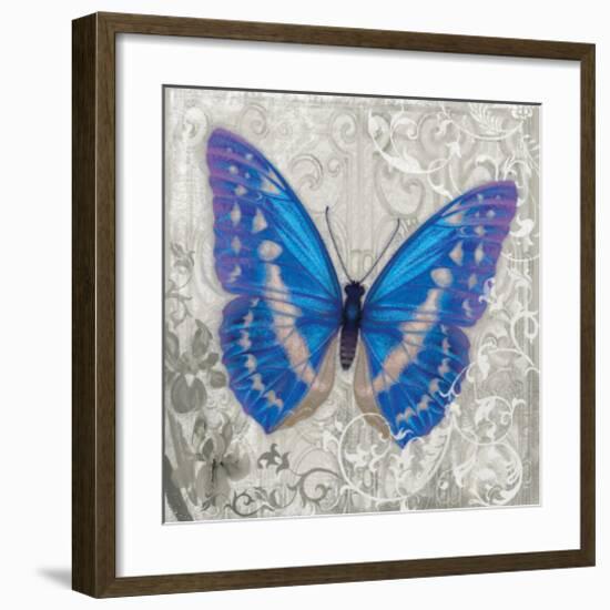 Blue Butterfly I-Alan Hopfensperger-Framed Art Print