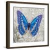 Blue Butterfly I-Alan Hopfensperger-Framed Art Print