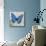 Blue Butterfly I-Alan Hopfensperger-Mounted Art Print displayed on a wall