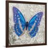 Blue Butterfly I-Alan Hopfensperger-Framed Art Print