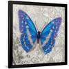 Blue Butterfly I-Alan Hopfensperger-Framed Art Print