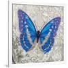 Blue Butterfly I-Alan Hopfensperger-Framed Art Print