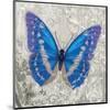 Blue Butterfly I-Alan Hopfensperger-Mounted Art Print