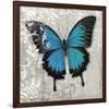 Blue Butterfly II-Alan Hopfensperger-Framed Premium Giclee Print