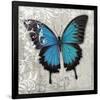 Blue Butterfly II-Alan Hopfensperger-Framed Premium Giclee Print