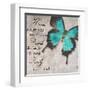 Blue Butterfly II-Taylor Greene-Framed Art Print