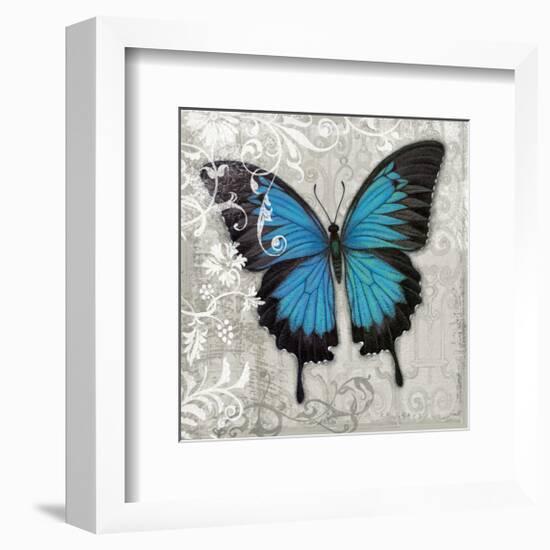 Blue Butterfly II-Alan Hopfensperger-Framed Art Print