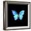 Blue Butterfly on Black-Tom Quartermaine-Framed Giclee Print