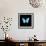 Blue Butterfly on Black-Tom Quartermaine-Framed Giclee Print displayed on a wall