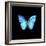 Blue Butterfly on Black-Tom Quartermaine-Framed Giclee Print