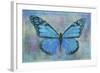 Blue Butterfly Watercolor-Cora Niele-Framed Giclee Print