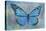 Blue Butterfly Watercolor-Cora Niele-Stretched Canvas