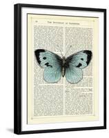 Blue Butterfly-Marion Mcconaghie-Framed Giclee Print