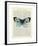 Blue Butterfly-Marion Mcconaghie-Framed Giclee Print