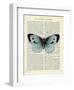Blue Butterfly-Marion Mcconaghie-Framed Art Print