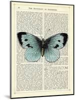 Blue Butterfly-Marion Mcconaghie-Mounted Art Print