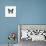 Blue Butterfly-PhotoINC-Stretched Canvas displayed on a wall