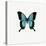 Blue Butterfly-PhotoINC-Stretched Canvas