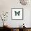 Blue Butterfly-PhotoINC-Framed Stretched Canvas displayed on a wall