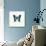 Blue Butterfly-PhotoINC-Stretched Canvas displayed on a wall