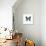 Blue Butterfly-PhotoINC-Premium Photographic Print displayed on a wall