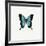 Blue Butterfly-PhotoINC-Framed Photographic Print