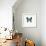 Blue Butterfly-PhotoINC-Framed Photographic Print displayed on a wall