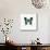 Blue Butterfly-PhotoINC-Mounted Photographic Print displayed on a wall