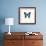 Blue Butterfly-PhotoINC-Framed Photographic Print displayed on a wall