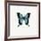 Blue Butterfly-PhotoINC-Framed Photographic Print