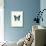 Blue Butterfly-null-Stretched Canvas displayed on a wall