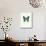 Blue Butterfly-null-Stretched Canvas displayed on a wall