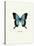 Blue Butterfly-null-Stretched Canvas