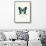 Blue Butterfly-null-Framed Stretched Canvas displayed on a wall