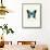 Blue Butterfly-null-Framed Stretched Canvas displayed on a wall