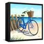 Blue By You-Scott Westmoreland-Framed Stretched Canvas