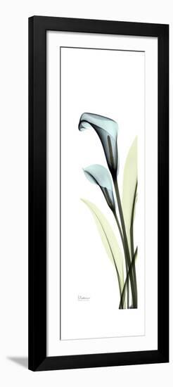 Blue Callas-Albert Koetsier-Framed Premium Giclee Print