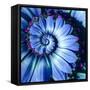 Blue Camomile Daisy Flower Spiral Abstract Fractal Effect Pattern Background. Blue Violet Navy Flow-Mikhail Leonov-Framed Stretched Canvas