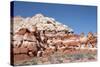 Blue Canyon, Arizona, Usa-U Gernhoefer-Stretched Canvas