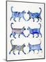 Blue Cat Collection-Cat Coquillette-Mounted Giclee Print