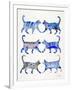 Blue Cat Collection-Cat Coquillette-Framed Giclee Print