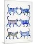 Blue Cat Collection-Cat Coquillette-Mounted Giclee Print